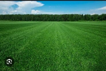 редкие садовые растения: , арендага жер алам 5 гектар — 1