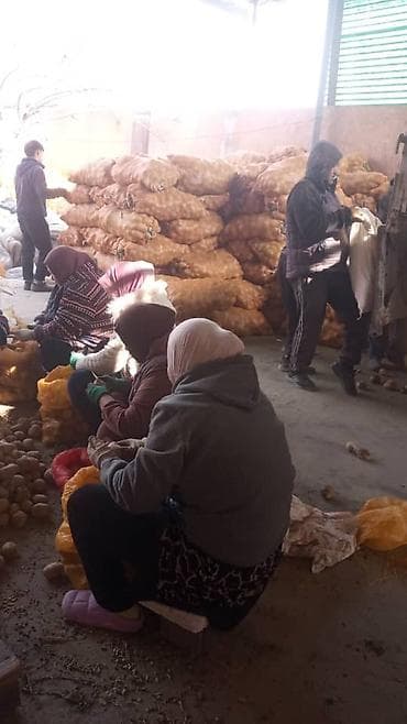 Грузчики: Ищу работу 16 лет есть стаж более 5 лет могу загрузит или разгрузит — 1