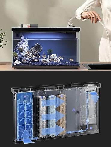 рыбы купить: Технологии и функциональность аквариума Xiaomi делают его идеальным — 5