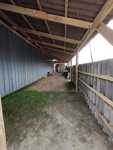 арка дома: Продажа павильонов 45 м², С оборудованием — 4