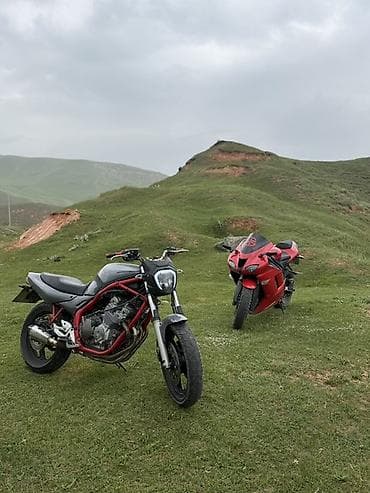 Мотоциклдер: Yamaha R/S 600
Японец 
2001г
Без вложение — 2