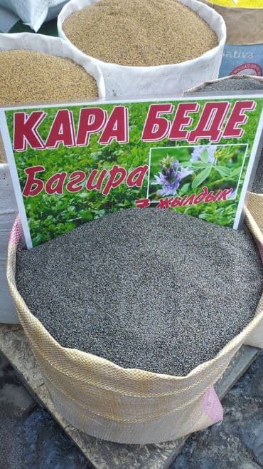 купить семена люцерна: Семена кормовых растений: Люцерна, Самовывоз — 5