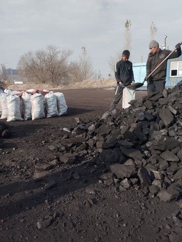 посуда магазин: Платная доставка, Фракция: Орех (О) — 2