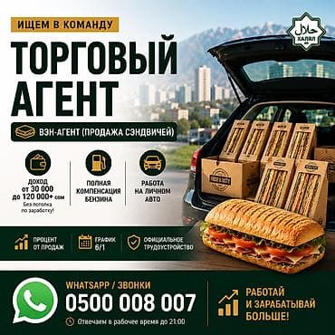Требуется Торговый агент, График: Шестидневка, Менее года опыта, Официальное трудоустройство, Подработка