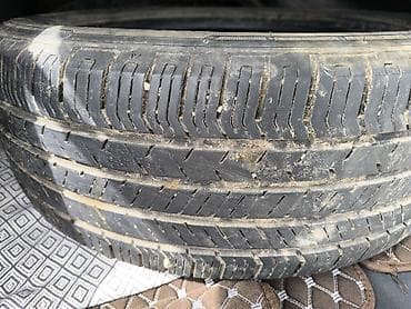 r19 235 55: Шины 225 / 55 / R 19, Лето, Комплект, Легковые, Dunlop — 4