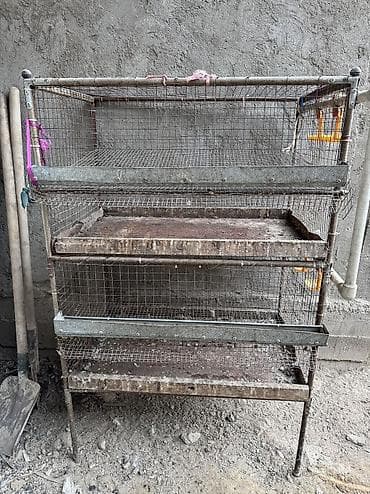 Продам клетку для перепел at lalafo.kg Продам клетку для перепел