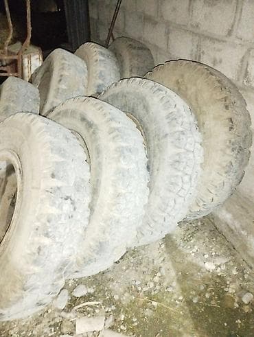 Диски: Продаю кашачка 8 штук без порез и диски без трещен накачен все, просто — 1