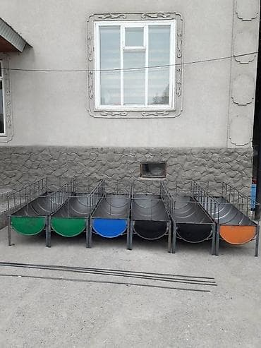 гиссарские бараны: Продаю | Овца (самка), Ягненок, Баран (самец) | Гиссарская, Полукровка, Долан | На забой, Для разведения, Для шерсти | Племенные, Котные, Кастрированные — 6