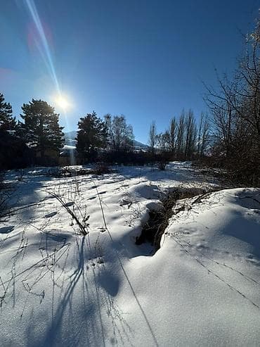 бишкек дома: 15 соток, Красная книга, Тех паспорт, Договор купли-продажи — 2