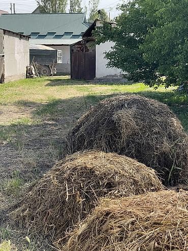 Продажа участков: 4 соток, Для строительства, Красная книга — 7