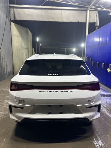 BYD: BYD : 2024 г., Электромобиль, Кроссовер — 9