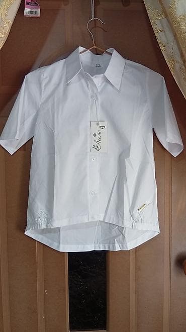 фирменная кофточка: Белая блузка с коротким рукавом - Классический отложной воротник - — 1