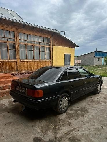 Audi: Audi 100: 1992 г., Седан — 4