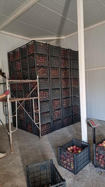 ленинский участок: 600 соток, Действующий, С оборудованием, Электричество — 7