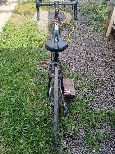 Шоссейный велосипед, Рама S (145 - 165 см), Б/у