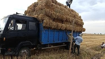 мотор кармаган: Mercedes-Benz : 1989 г., 6 л, Механика, Дизель — 1