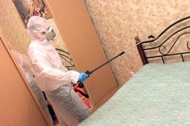 дезинфекция дома от клопов ош: Дезинфекция, дезинсекция, | Муравьи, Блохи, Вирусы, микробы, | Кафе, магазины, Квартиры, Подъезды — 3