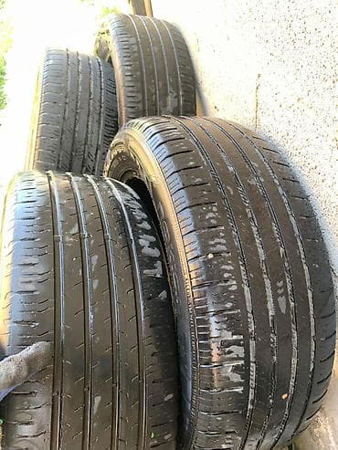 цветы балыкчы фото: Грузоперевозки и переезды по Кыргызстану Маршруты: Ош, Талас, Нарын — 7