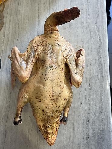 Услуги ветеринара: Утка — 2