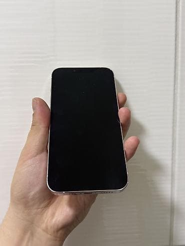 фото на памятник: IPhone 13 Pro, Серебристый — 3