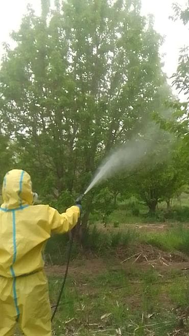 костюм nike: Дезинфекция, дезинсекция — 2