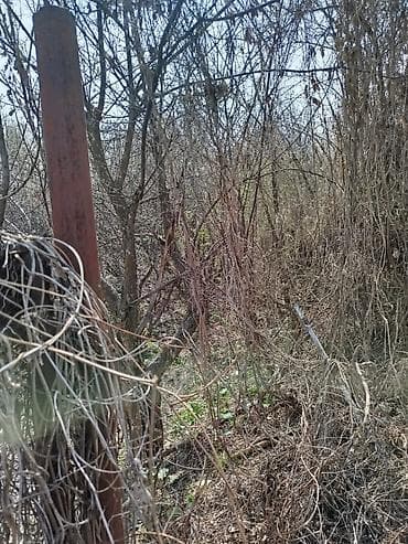 садовый участок: Продаётся участок в селе Горное (Маевка). - Площадь: 10 соток - — 5