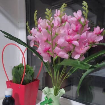 детские койнок тиккенге надомдор керек: Талап кылынат Бала багуучу — 3