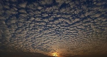 mi note 9t: Redmi, Redmi Note 13 Pro, Б/у, 512 ГБ, цвет - Черный, 1 SIM — 4