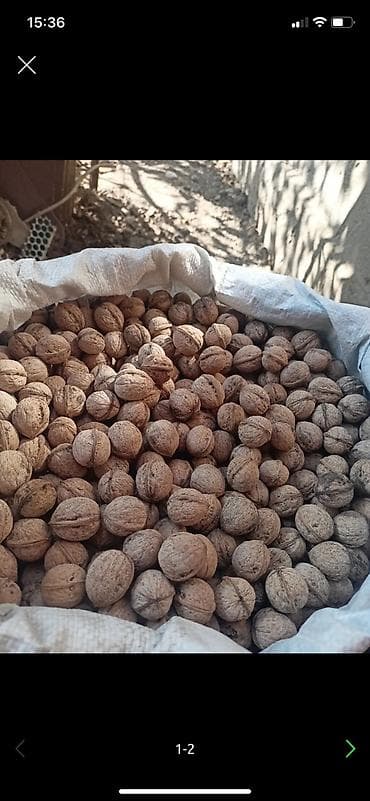 Кг 120 at lalafo.kg Кг 120