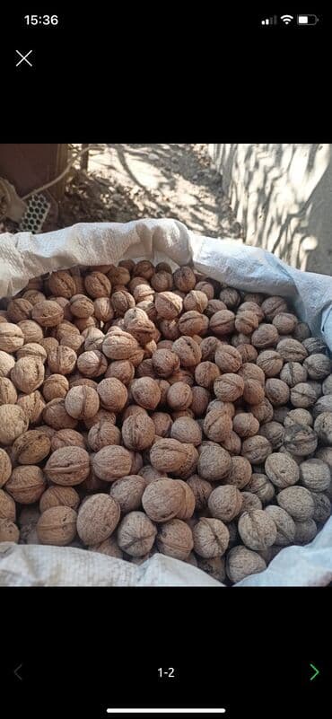 картошка цена бишкек глобус: Кг 120 — 1