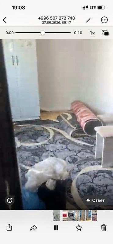 Батирлер: 1 бөлмө, Толугу менен эмереги бар — 7