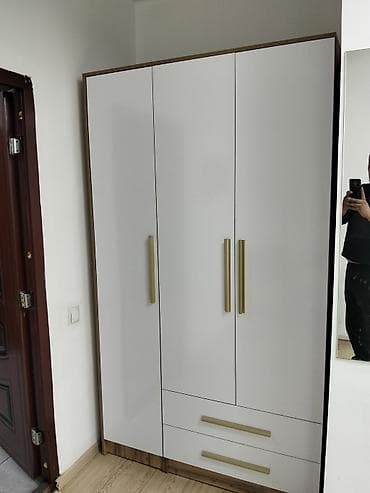 Шифоньеры, шкафы для одежды: Шифоньер, шкаф для одежды, Прямой, ЛДСП — 6