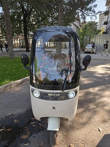 сколько стоит самокат: Электрический пассажирский трицикл BaLlet cat - Компоновка — 2