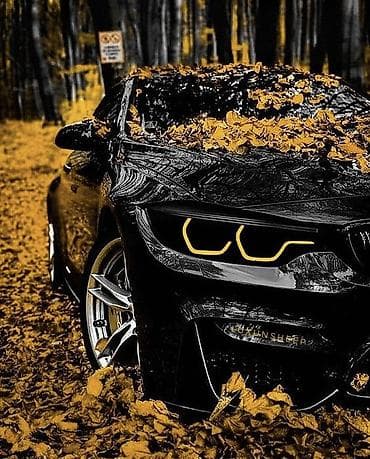 оборудование для химчистки авто: Автохимчистка — 1