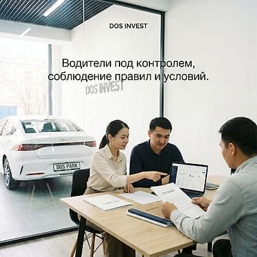 инвестиция: Инвестиционная услуга DOS INVEST: заработок на автомобилях под — 5