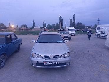 corolla runx: Nissan Almera: 2001 г., Ручные, Бензин, Седан — 8