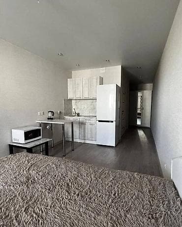 Студия, Риэлтор, Без подселения, С мебелью полностью