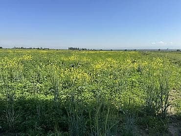 ts group: 220 соток, Для сельского хозяйства, Красная книга, Тех паспорт — 2