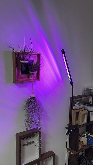 rgb прожектор: Светодиодная фитолампа для комнатных растений 1 лучик 800 2 лучика — 3