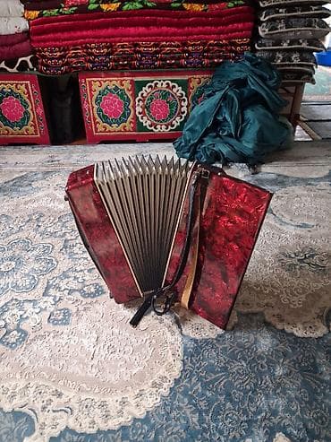 велотренажер купить: Аккордеон (клавишный) в красно-перламутровом корпусе. Характеристики — 6