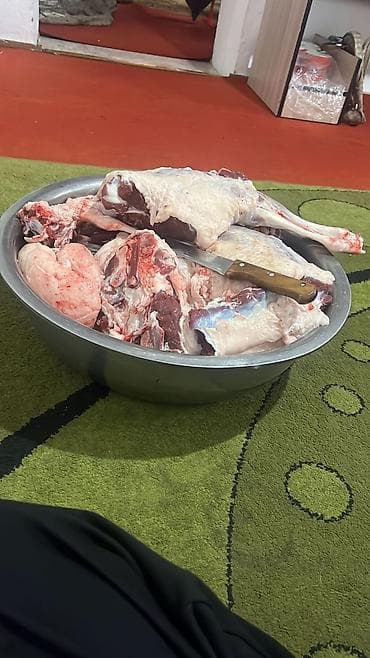 diska 14: Грузовик, Mercedes-Benz, Стандарт, 5 т, Б/у — 8