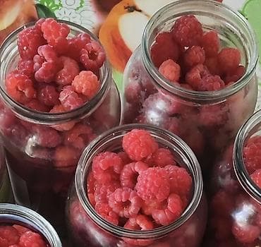 кивано бишкек: Малина В розницу, Самовывоз — 1