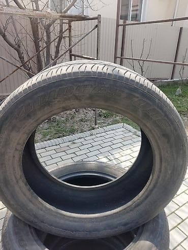 bbs 4 100: Шины 235 / 55 / R 18, Лето, Комплект, Легковые, Япония, Bridgestone — 3