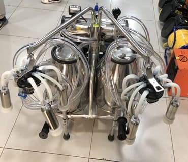 дойка коров аппаратом цена: Доильный аппарат !! «ТЕХНОМАШ» на две коровы с двумя раздельными — 2