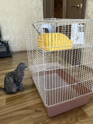 малёк рыбы: Просторная многоуровневая клетка для мелких животных/грызунов, крыс — 1