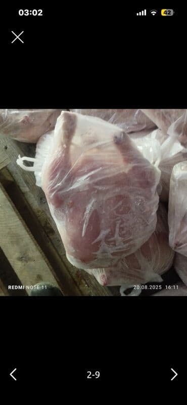 окорочка оптом цена: Курица :, 2 кг — 1