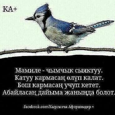 Упаковочные товары: Корзина — 4