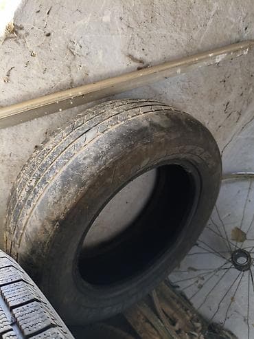 алтай шина: Шиналар 195 / 65 / R 15, Жай, Жуп, Жеңил унаалар, Maxxis — 1