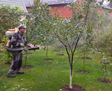 садовник охранник: Обработка сада от вредителей Обработка от различных болезней — 4