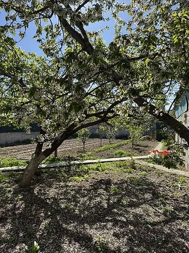 Кыймылсыз мүлк: Продаётся 3-комнатный дом в районе Арча-Бешик (ул. Чортекова, рядом с — 2